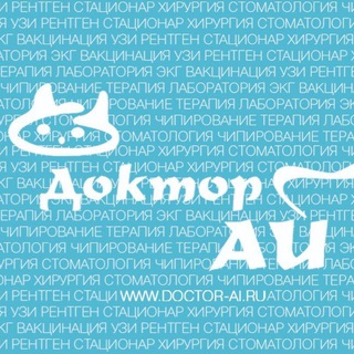 Telegram profile photo for Доктор Ай Королёв