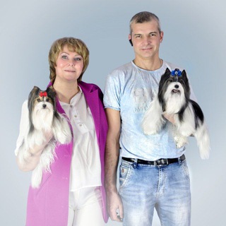 Telegram profile photo for Бивер щенки ShansProvans_купить маленькую собачку_продажа щенков бивера