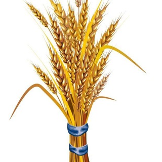 Telegram profile photo for Prosperity Party - ብልፅግና