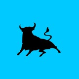 Telegram profile photo for 🇪🇸|Фк Буллс ⚪️🔵| Рофл Клуб