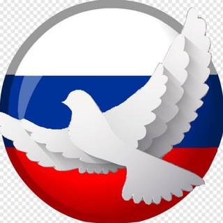 Telegram profile photo for 🇷🇺Россия СВО+🕊