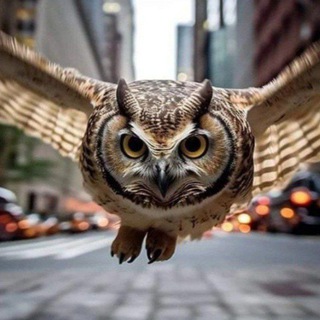 Telegram profile photo for Чат ~Magic$pirit~ ✨АлхимияОсознанности✨