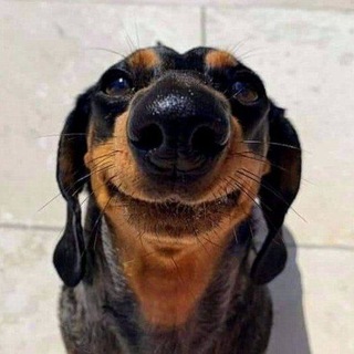 Telegram profile photo for 7емь