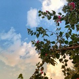 Telegram profile photo for ﴿ وَالْمُسْتَغْفِرِينَ بِالأَسْحَارِ ﴾🪴