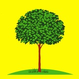 Telegram profile photo for Новости Липецка