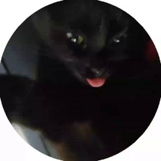 Telegram profile photo for мій агрегатор мемів 🫀