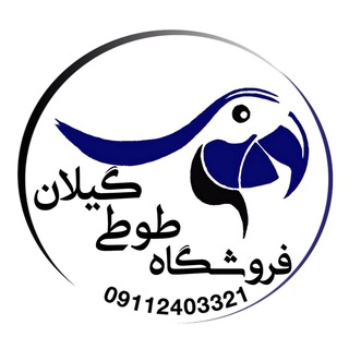 Telegram profile photo for فروشگاه طوطى گيلان