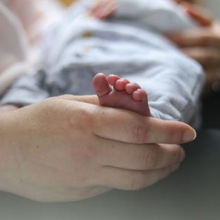 Telegram profile photo for IAF - Infants 👶 Portal