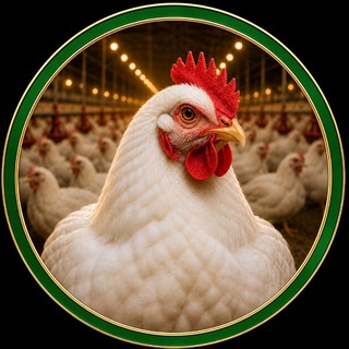 Telegram profile photo for خرید مرغ زنده (سببی)
