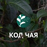 Telegram profile photo for Код Чая 🧬🌿