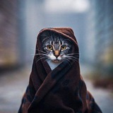 Telegram profile photo for Meni qidiryapsizmi..?