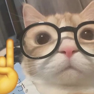 Telegram profile photo for meme experience research