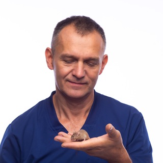 Telegram profile photo for Владимир Сотников