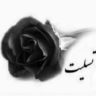 Telegram profile photo for 🌺 ڪَلــســـŔ♡Zـــتـان 🌺
