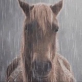 Telegram profile photo for логово огурца🇬🇧