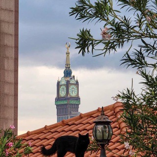 Telegram profile photo for أجر .