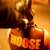 Telegram profile photo for Moose's Musings