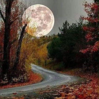 Telegram profile photo for سِرَاج الليل🌕