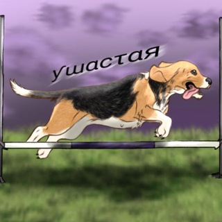 Telegram profile photo for Ушастая