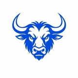 Telegram profile photo for Ko Phyo Buffalo App