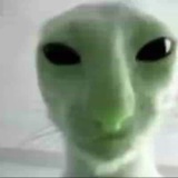 Telegram profile photo for 👽Перезд🐱Минки няняня