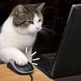 Telegram profile photo for klik_cat_cto