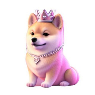 Telegram profile photo for SHILA OFFICIAL