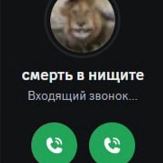 Telegram profile photo for СМЕРТЬ В НИЩИТЕ