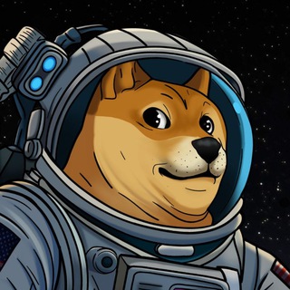 Telegram profile photo for $DOGE-1 Portal