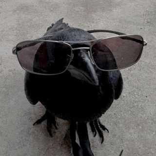 Telegram profile photo for avalon's.