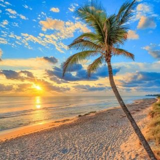 Telegram profile photo for Корал 🏝