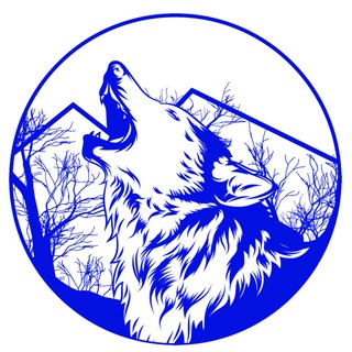 Telegram profile photo for BWT Team