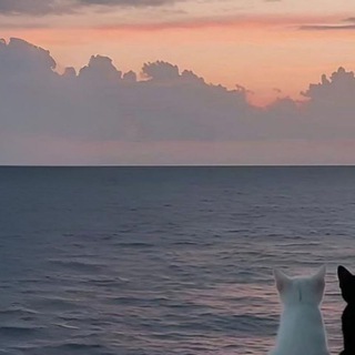 Telegram profile photo for day card at 29:00 (5am)