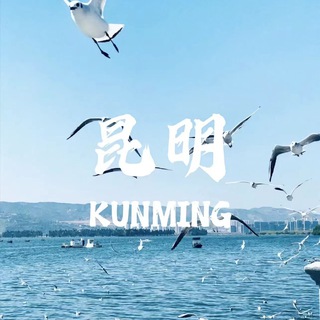 Telegram profile photo for 昆明公开资源