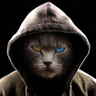 Telegram profile photo for Сарказм и котики