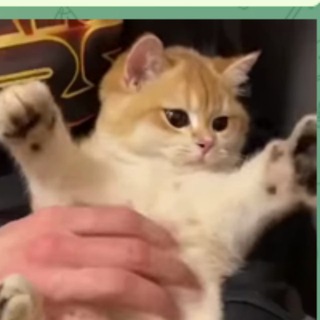 Telegram profile photo for Ворк в крипте амбы/тестнеты и вайты в промышленных объемах