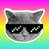 Telegram profile photo for Mimi Portal