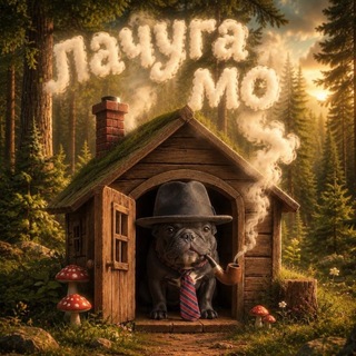 Telegram profile photo for Лачуга Мо