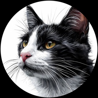 Telegram profile photo for 🐈Кот