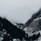 Telegram profile photo for Planet Nayh