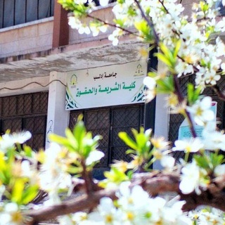 Telegram profile photo for ملخصات كلية الشريعة