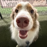 Telegram profile photo for Материалы Mass.wix