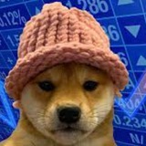 Telegram profile photo for $WIF|Portal