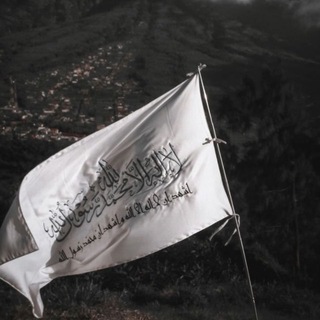 Telegram profile photo for الإِخْبَاتْ ..