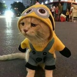 Telegram profile photo for 在找老板的零零