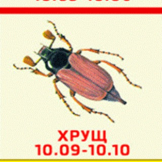Telegram profile photo for В Гостях У Хруща