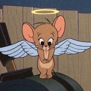 Telegram profile photo for mitpolly