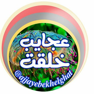 Telegram profile photo for عجایب خلقت و دانش