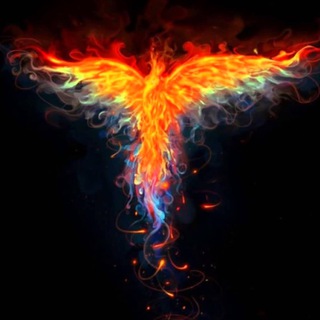 Telegram profile photo for Материалы ОППОЗИЦИЯ ФЕНИКС-ВЕЛЕС