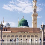 Telegram profile photo for السّيرة النّبويّة العطرة🌸🍃